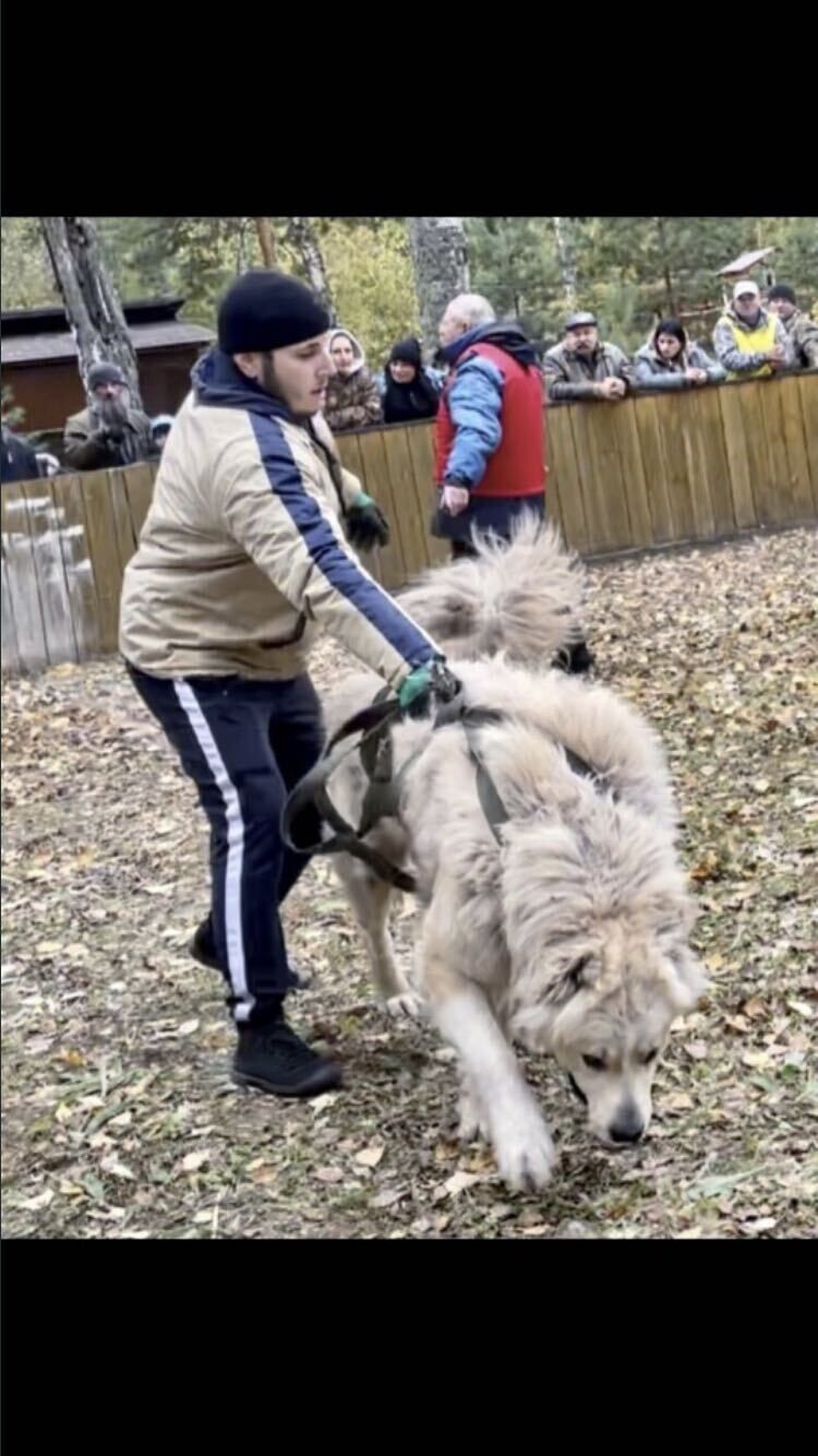 ���� 25391690 ������� �������, 31 ���, ���� ���������� � ������������