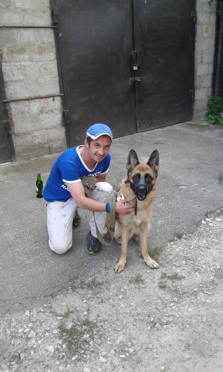 ���������� ����, ���� ������� ����, 42 ����, ������������ ��� ������, ����� � ���������, c�������� ���������