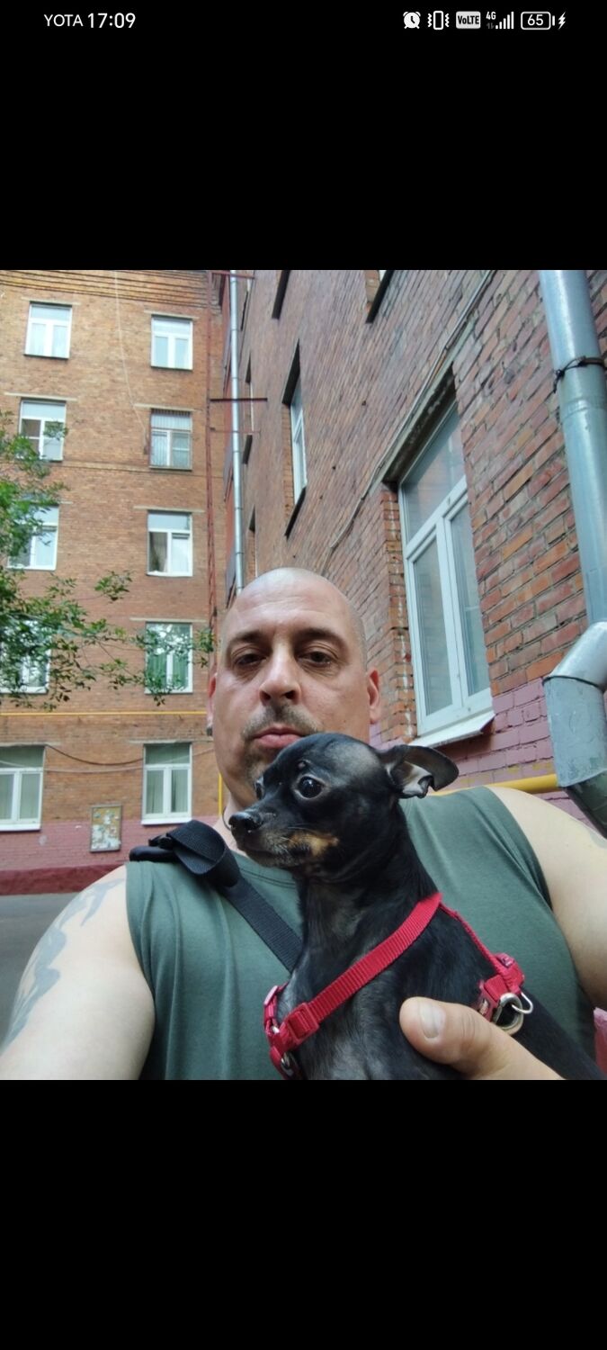 ���� 56147870 ������� ������, 44 ����, ���� ���������� � ������