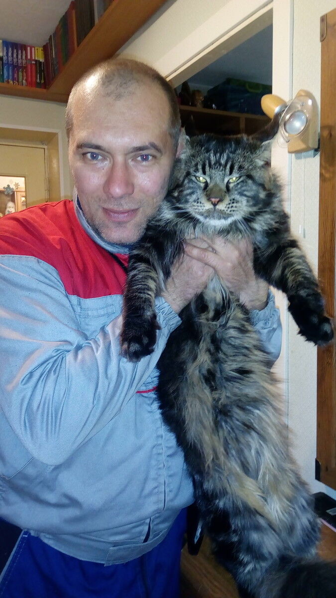 ���� 9908990 ������� ������, 53 ����, ���� ���������� � ������