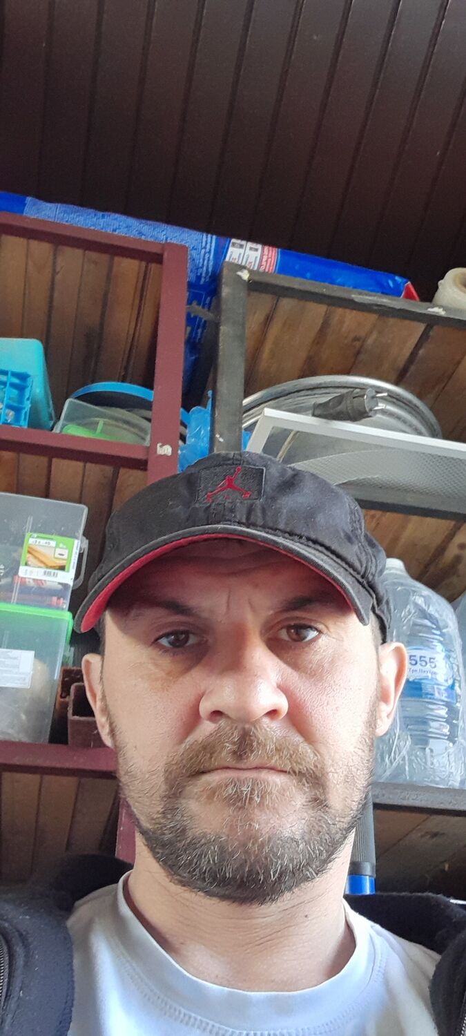  34246980  , 43 ,    