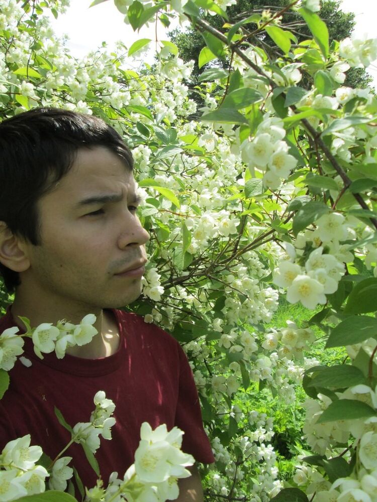 ���������� �����-���������, ���� ������� ������, 37 ���, ������������ ��� ������