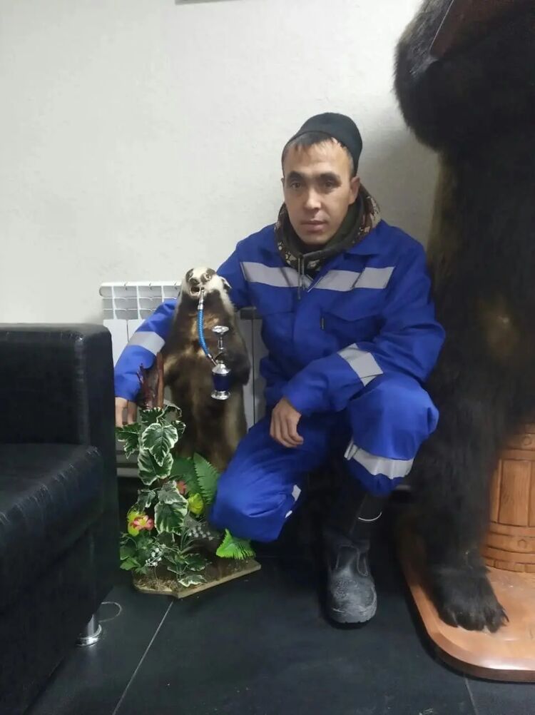 ���� 36798190 ������� ������, 37 ���, ���� ���������� � �����