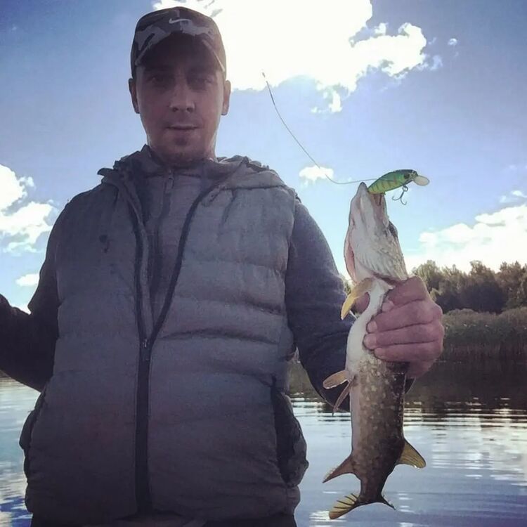  26941810  , 36 ,    -