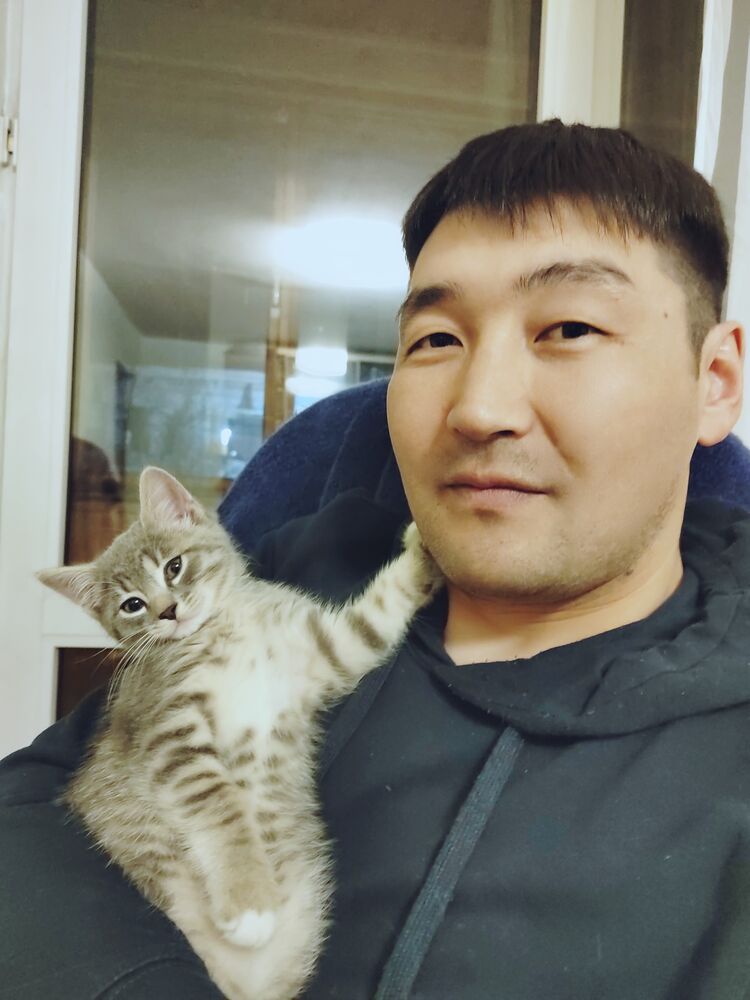  36784930  , 38 ,    -