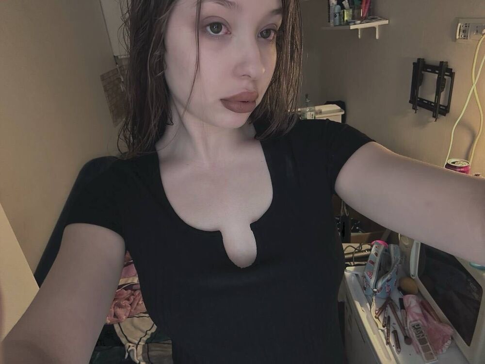 ���������� ������, ���� ������� ����������, 24 ����, ������������ ��� ����� � ���������, c�������� ���������, ���������