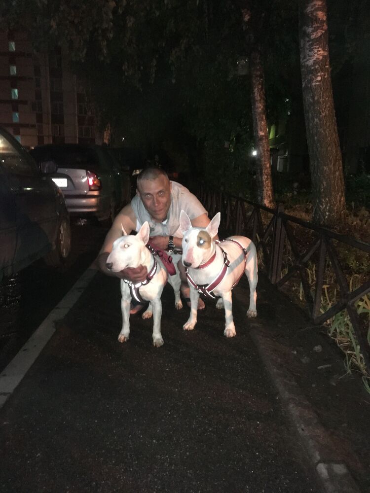 ���������� �����-���������, ���� ������� ��������, 45 ���, ������������ ��� ����� � ���������, c�������� ���������