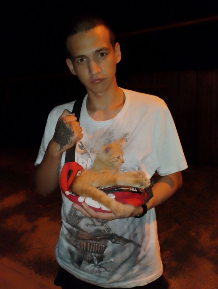 ���������� �������, ���� ����� �������, 22 ����, ������������ ��� ������, ����� � ���������