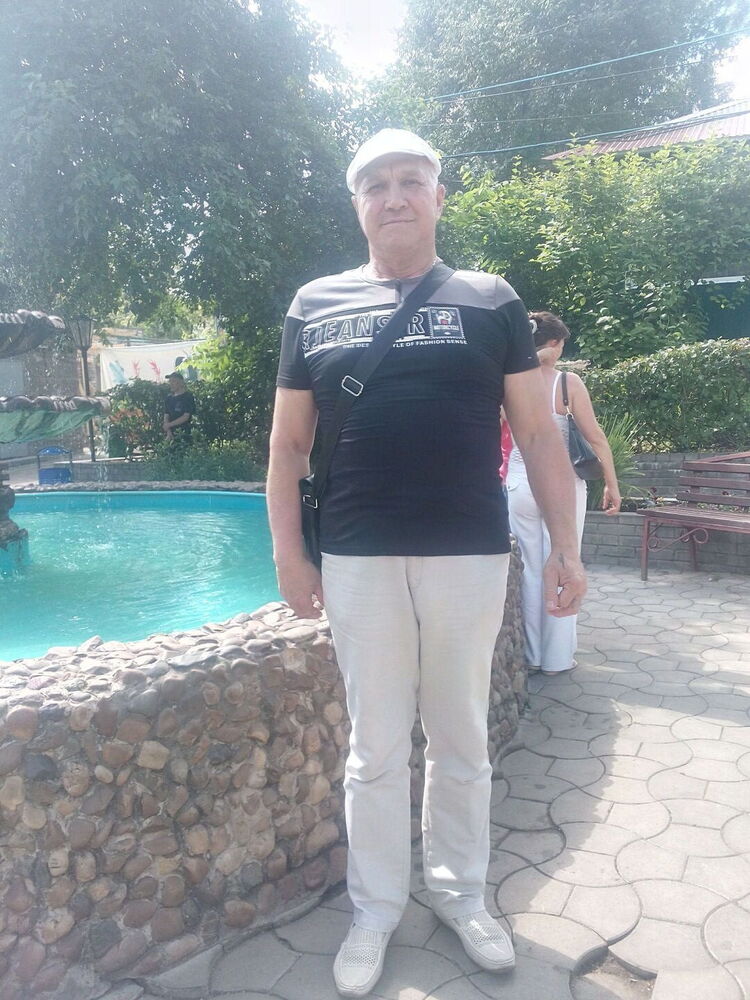 43156220  , 66 ,    