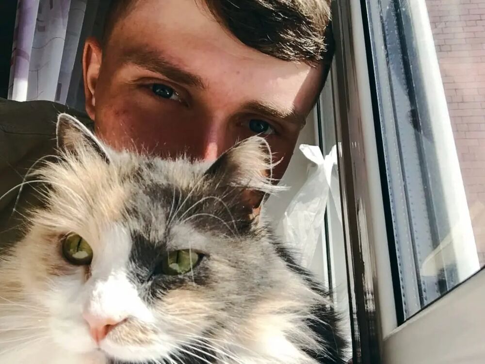 ���������� ������, ���� ����� ���������, 23 ����, ������������ ��� ������, ����� � ���������, ���������