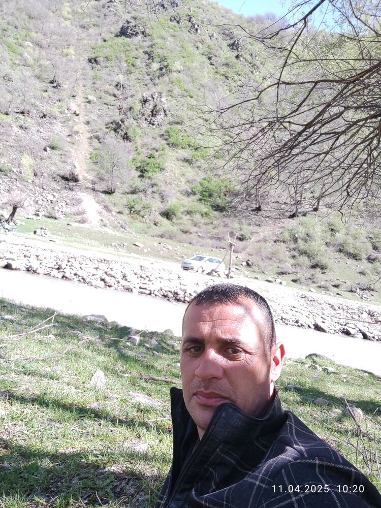  51294980  , 38 ,    