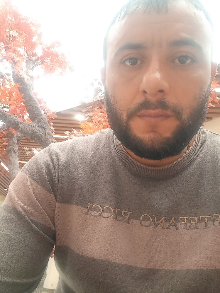  44030010  , 38 ,    