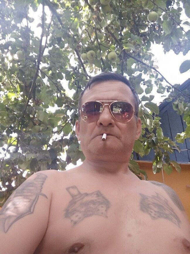  15339940  , 59 ,    