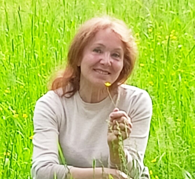  54220680  , 64 ,    -