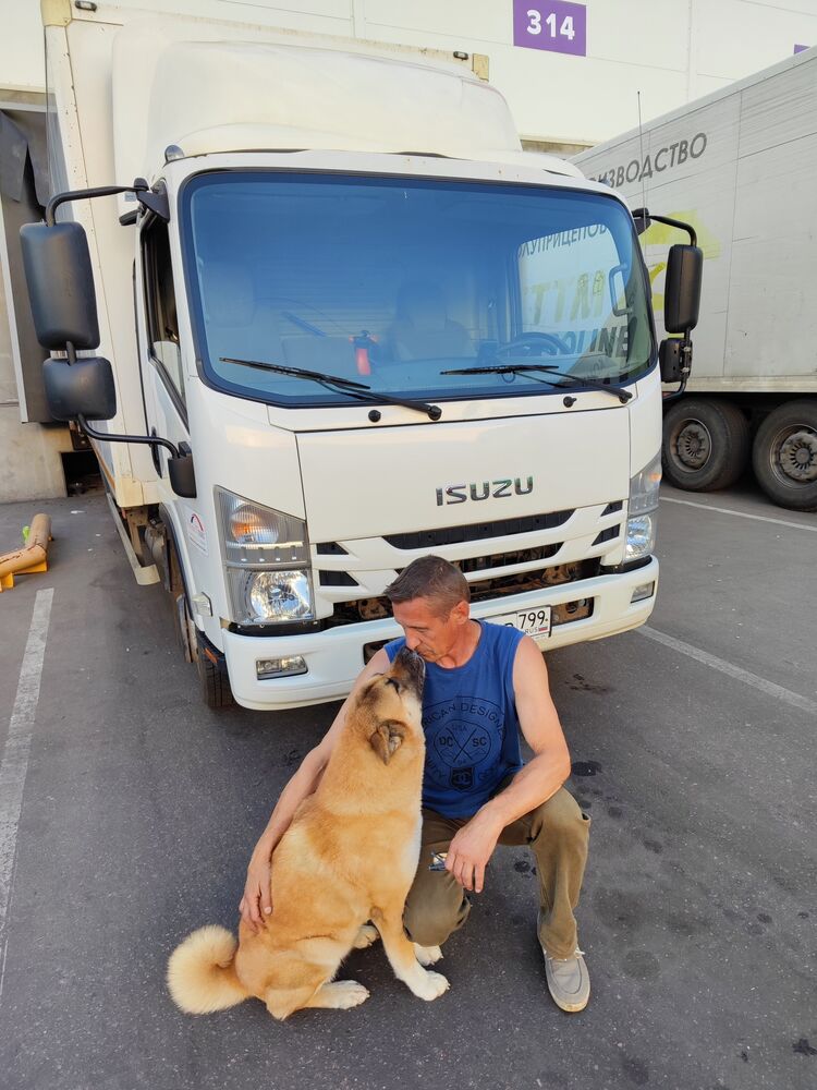 ���� 56258300 ������� ��������, 59 ���, ���� ���������� � ������