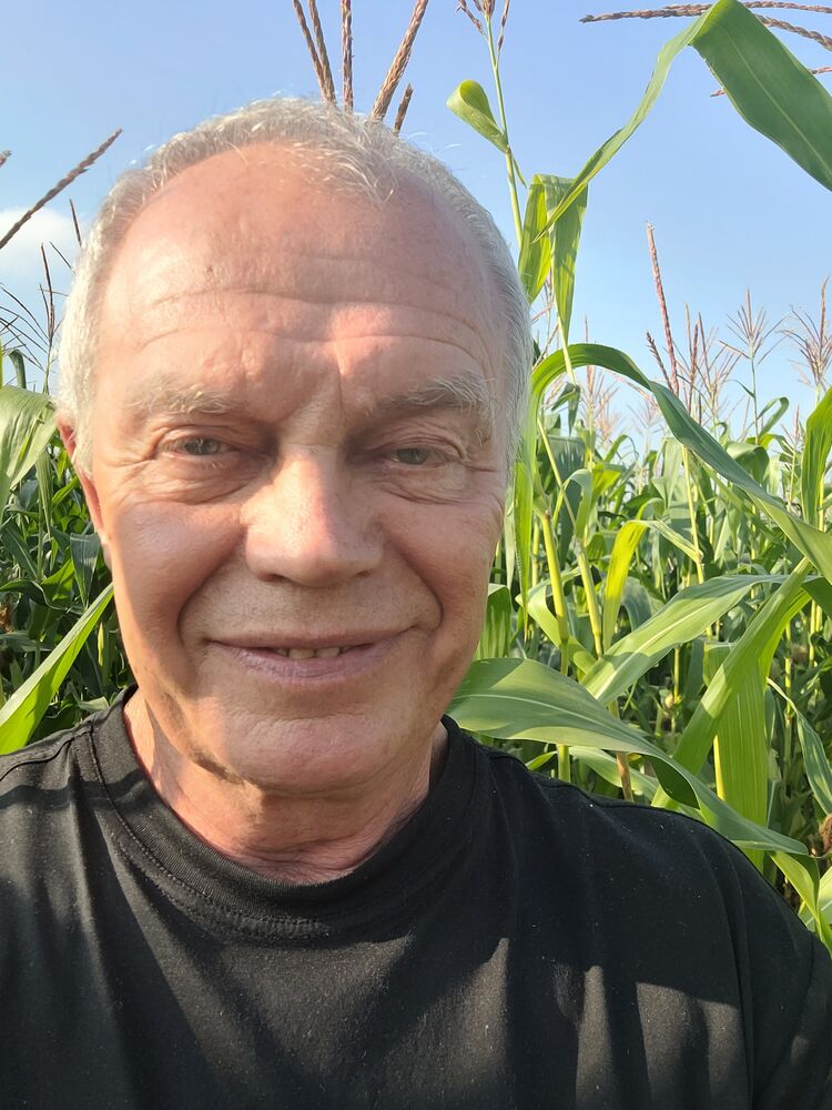 ���� 39064100 ������� ���������, 61 ���, ���� ���������� � ������