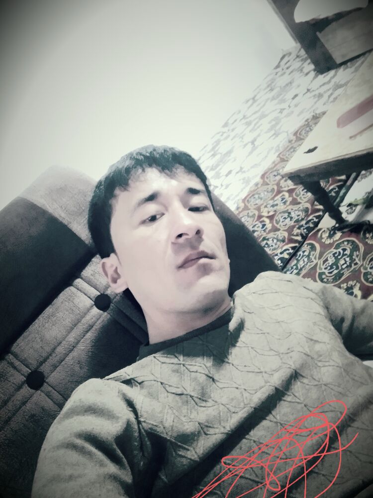  38881820   , 31 ,    