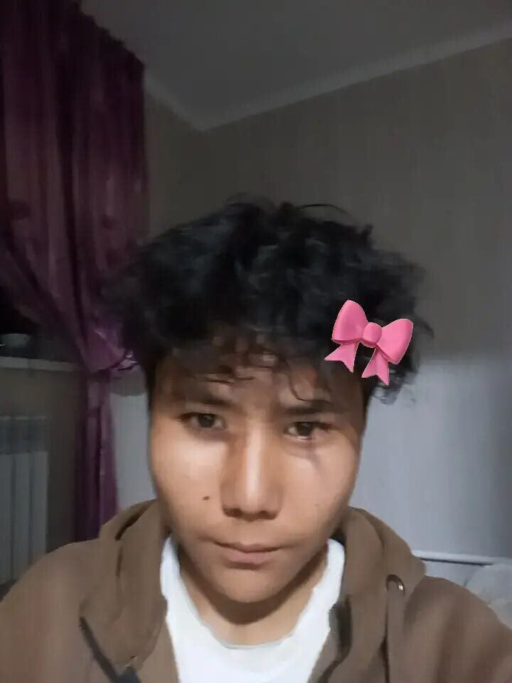  49390250  , 19 ,    