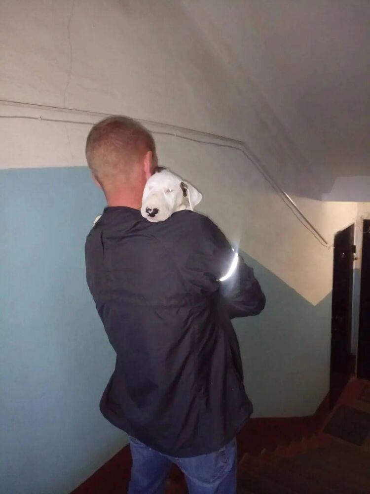 ���������� ���������, ���� ������� ������, 44 ����, ������������ ��� c�������� ���������