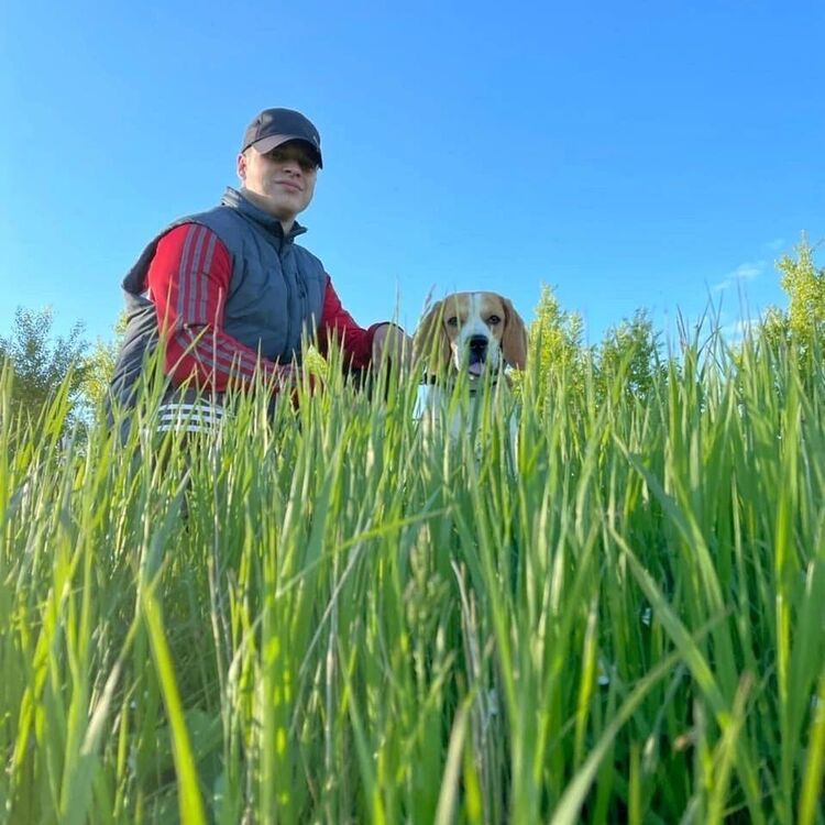 ���������� ��������, ���� ������� ���������, 29 ���, ������������ ��� ������, ����� � ���������, c�������� ���������