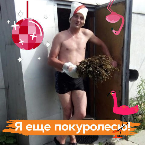  33823810  , 41 ,    -