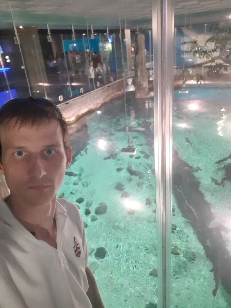 ���� 44470340 ������� ������, 31 ���, ���� ���������� � ��������