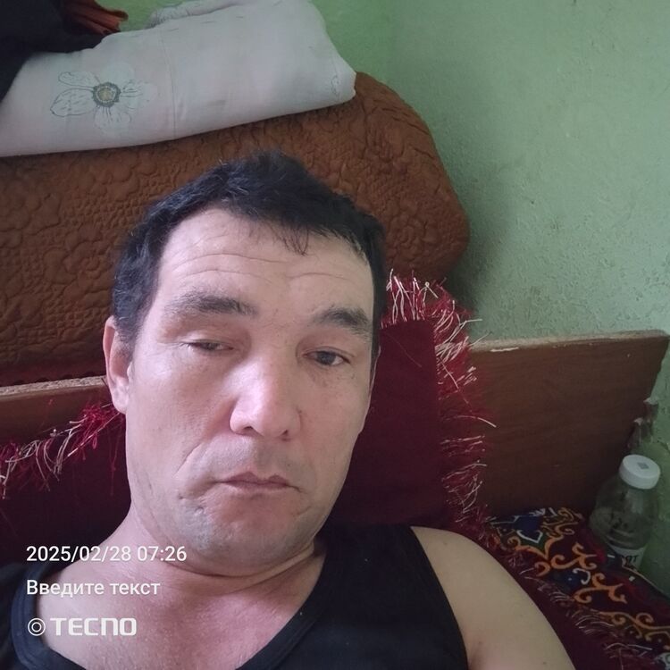 ���� 49961810 ������� ��������, 44 ����, ���� ���������� � �������