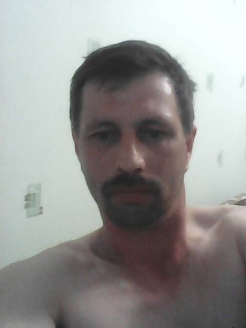  8411690  , 49 ,    