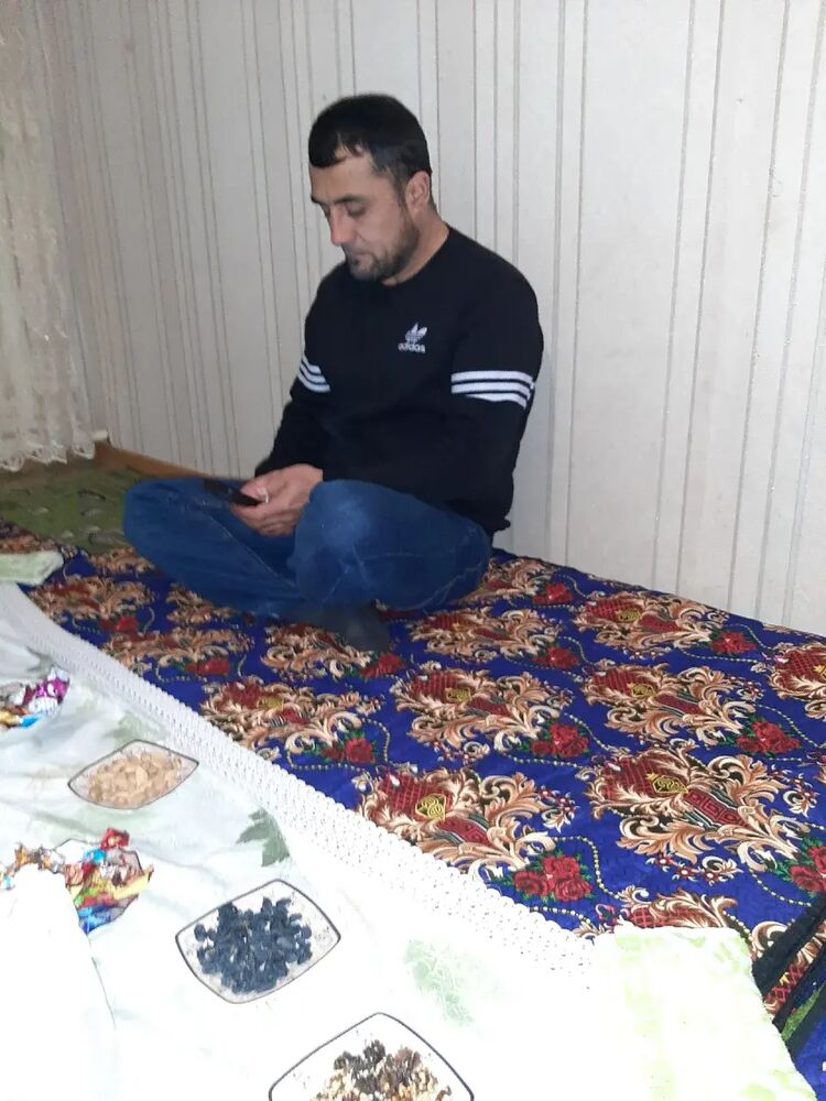 ���� 33446330 ������� �����, 40 ���, ���� ���������� � �������������