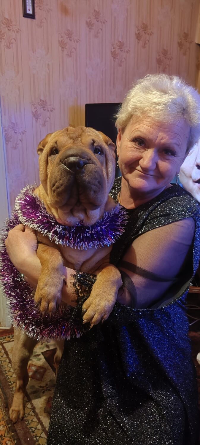 ���������� ��������, ���� ������� �����, 56 ���, ������������ ��� c�������� ���������