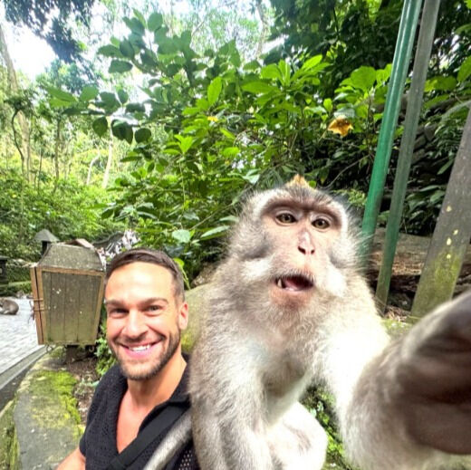 ���� 55811780 ������� �������, 41 ���, ���� ���������� � ���������