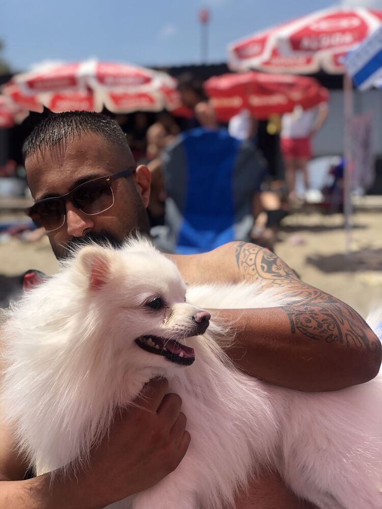  ,   Serdar, 35 ,   ,   