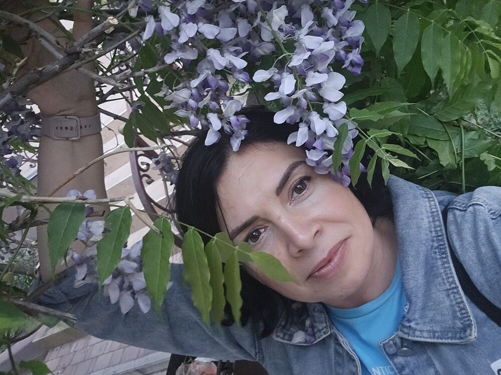  ,   , 43 ,   