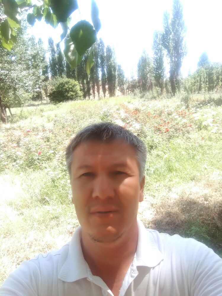  36633690  , 40 ,     
