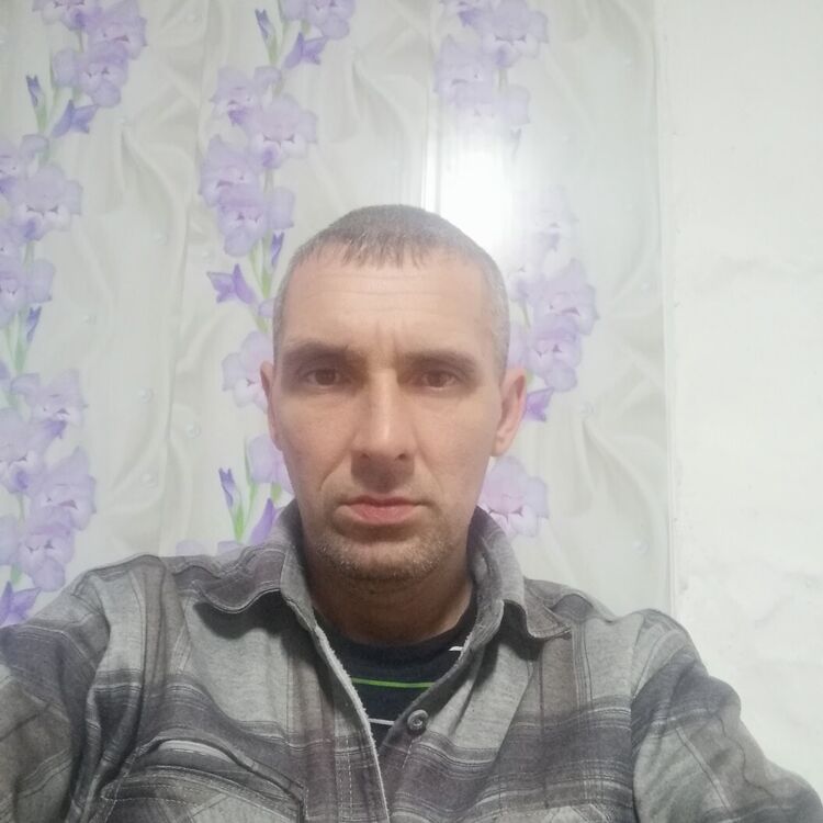  31394700  , 39 ,    