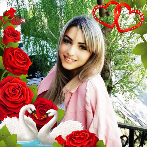 ���� 24390310 ������� ������, 52 ����, ���� ���������� � ����������