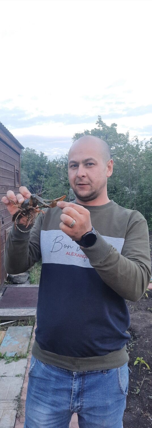 ���������� ���������, ���� ������� ������, 34 ����, ������������ ��� ������, ����� � ���������