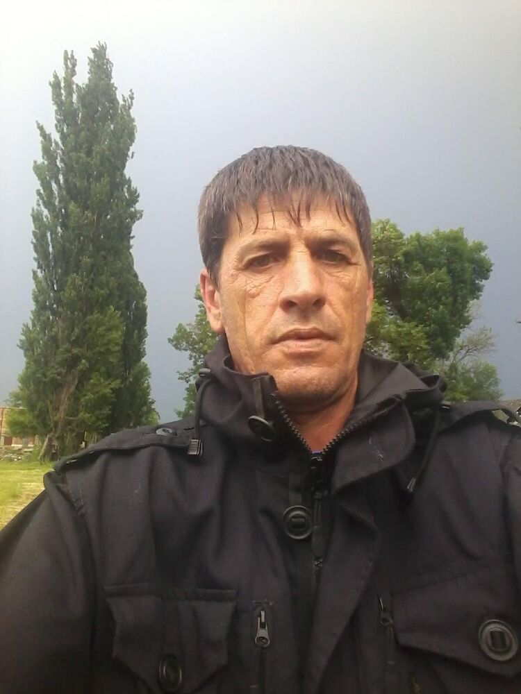  33936550  , 49 ,    
