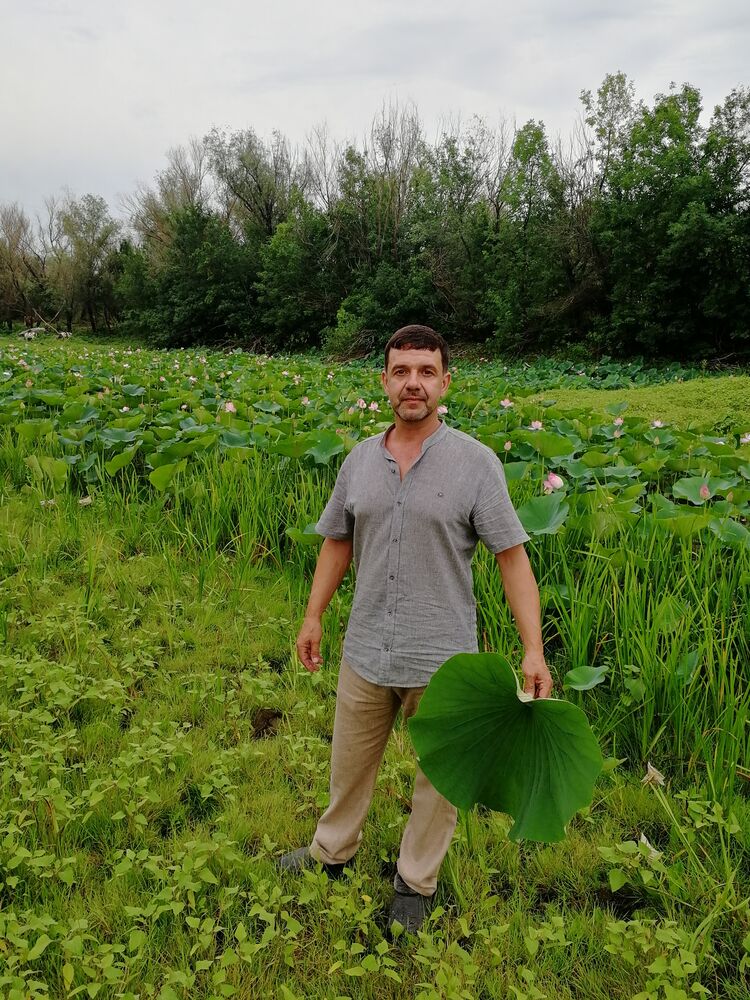 ���� 39393550 ������� �������, 46 ���, ���� ���������� � ���������