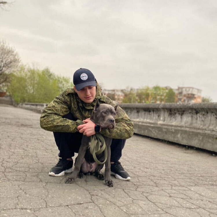 ���� 27324490 ������� �����, 30 ���, ���� ���������� � ������������