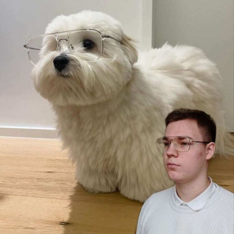 ���� 42357740 ����� Chisato, 21 ���, ���� ���������� � �������