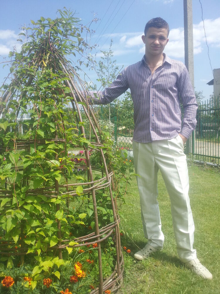 ���������� �����, ���� ������� Brus, 31 ���, ������������ ��� ������, ����� � ���������, c�������� ���������