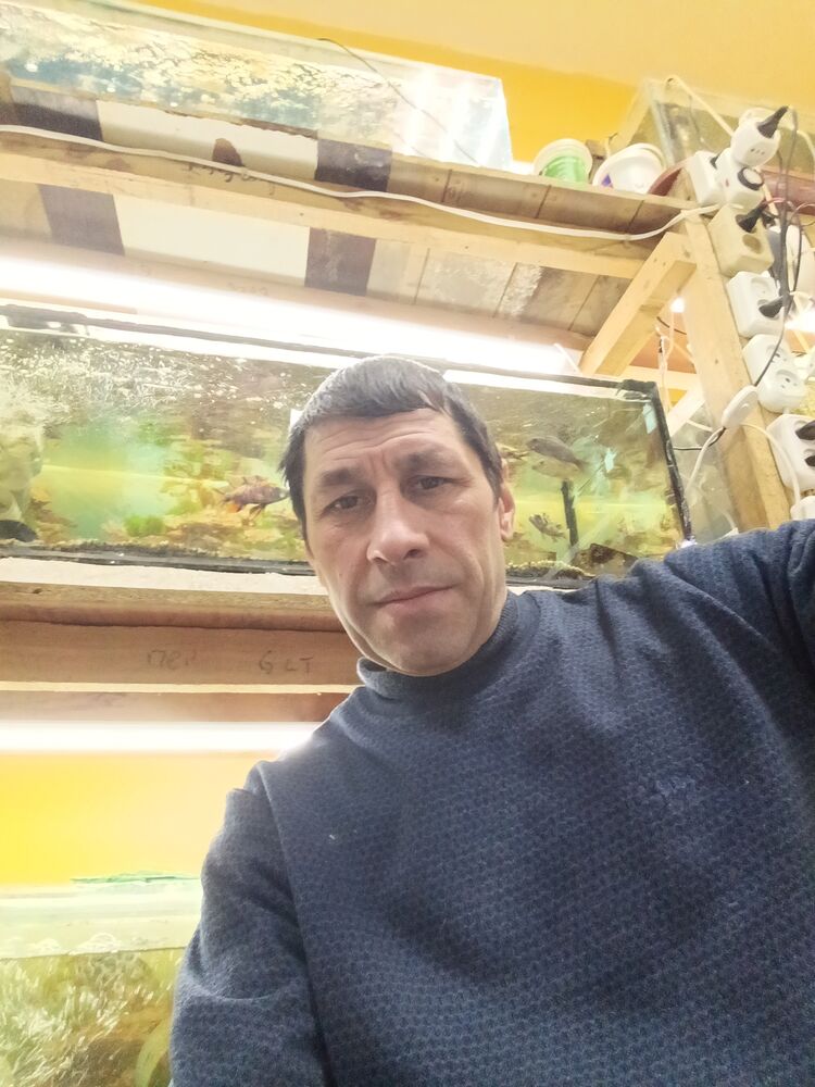 ���� 56081400 ������� ������, 47 ���, ���� ���������� � �����������