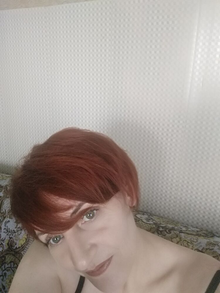  28988360  , 51 ,    