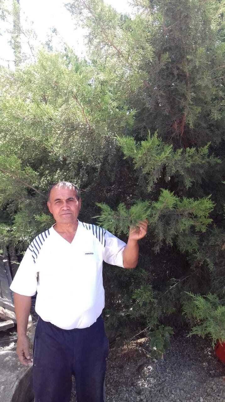  -,   , 52 ,   ,   