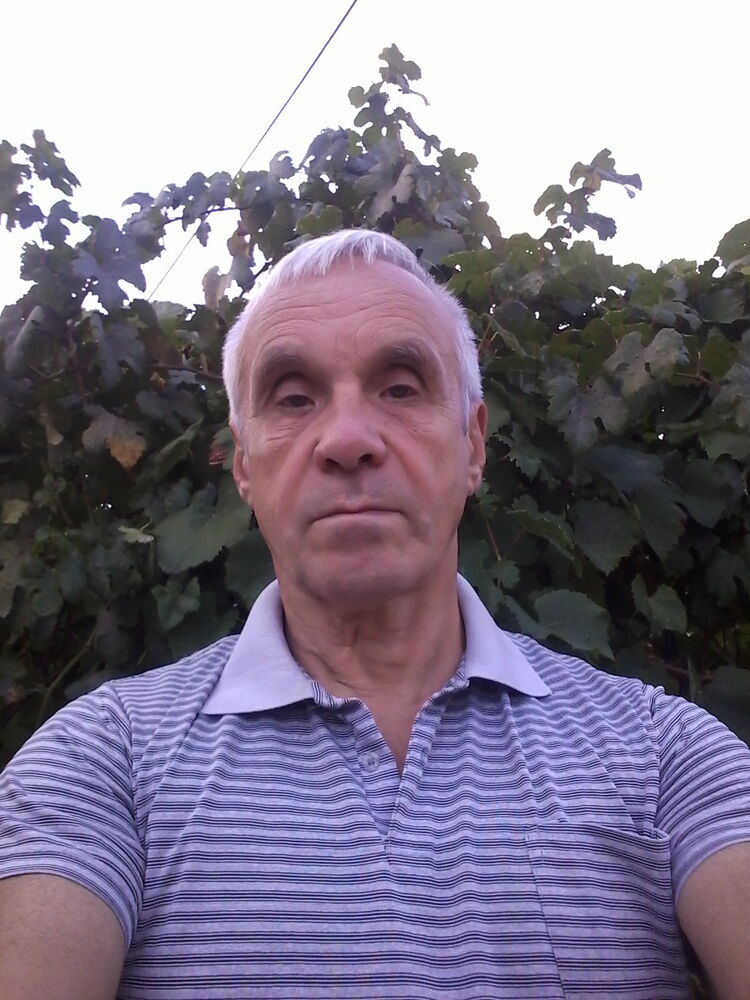  23062860  , 71 ,    