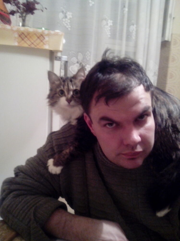 ���� 4993170 ������� �������, 50 ���, ���� ���������� � �����