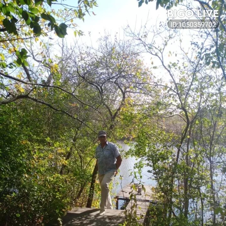 ���������� ������������, ���� ������� ��������, 51 ���, ������������ ��� ������, ����� � ���������