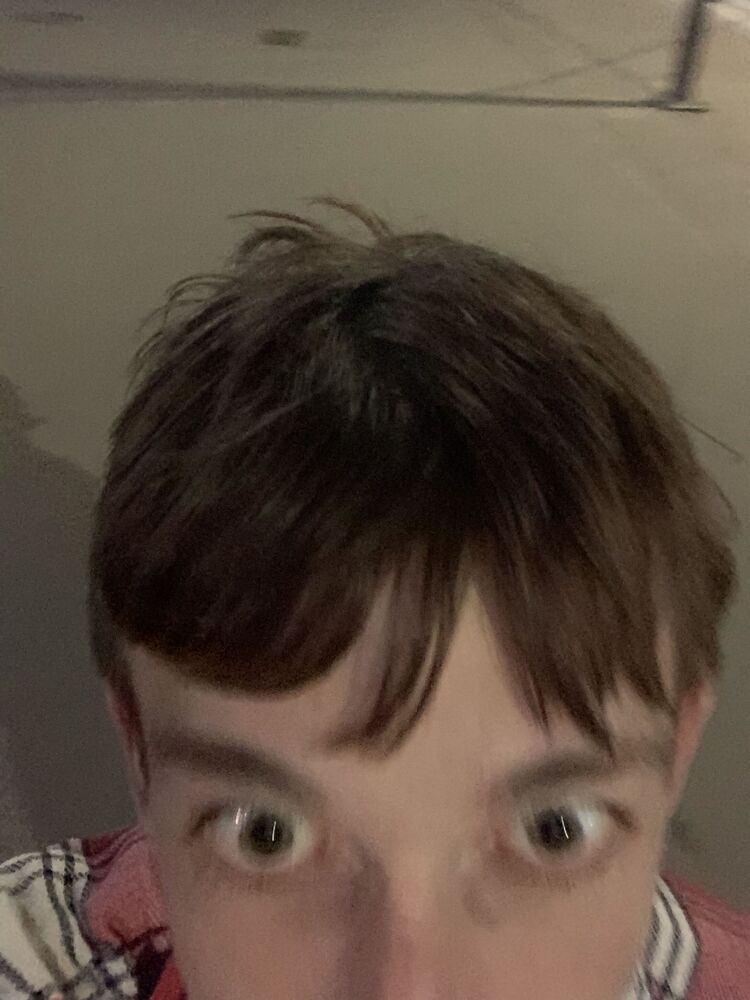  35647050  , 21 ,    