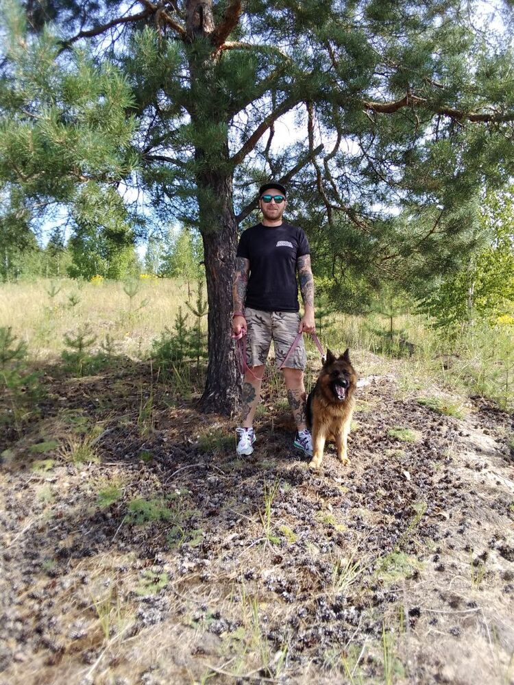 ���������� ������ ��������, ���� ������� ���������, 38 ���, ������������ ��� ������, ����� � ���������, c�������� ���������